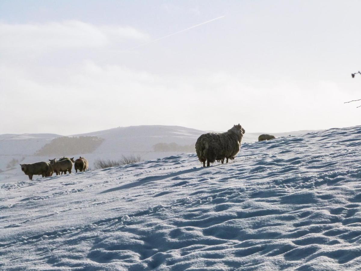 Ewe Cottage Skipton Zewnętrze zdjęcie